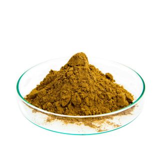 Estratto Oleoso di Artiglio del Diavolo